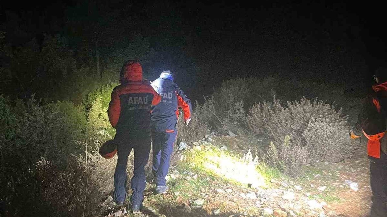 Milas'ta mantar ararken kaybolan 70 yaşındaki Nahit Bahar için arama çalışmaları sürüyor