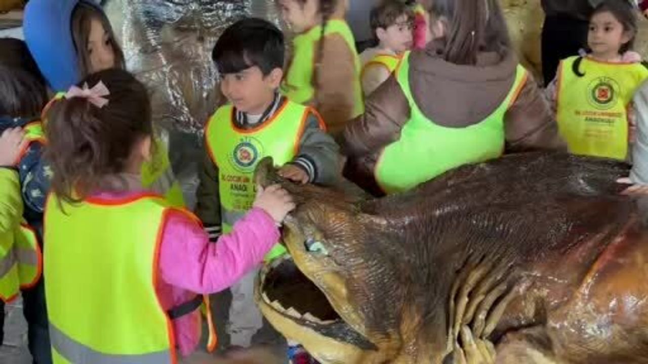 Minikler Beylikdüzü Türkiye Deniz Canlıları Müzesi'nde Mumya Balıkları İnceledi