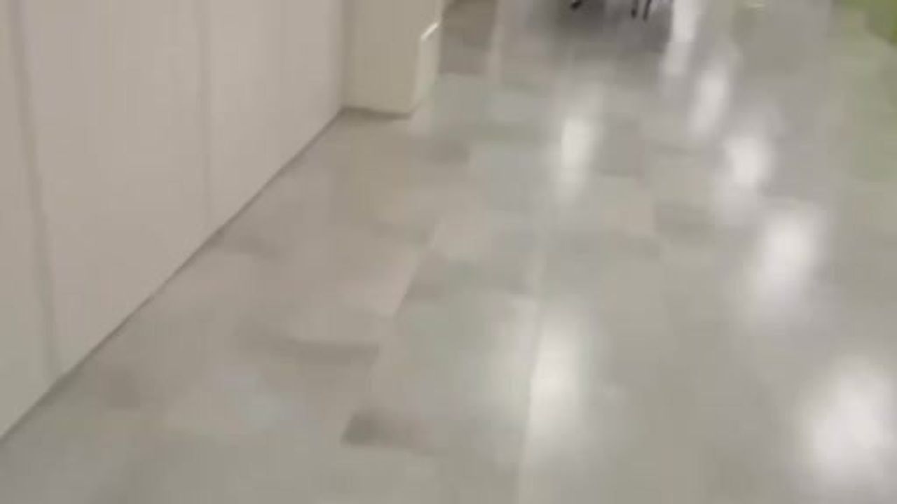 Moskova bölgesinde okul saldırısı: 10 yaşındaki öğrenci yaşamını yitirdi