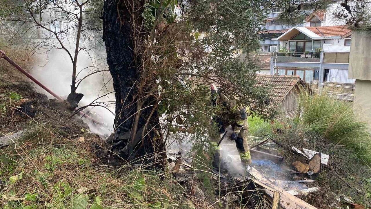 Mudanya'da çamlık alanda çıkan yangın itfaiye müdahalesiyle büyümeden söndürüldü