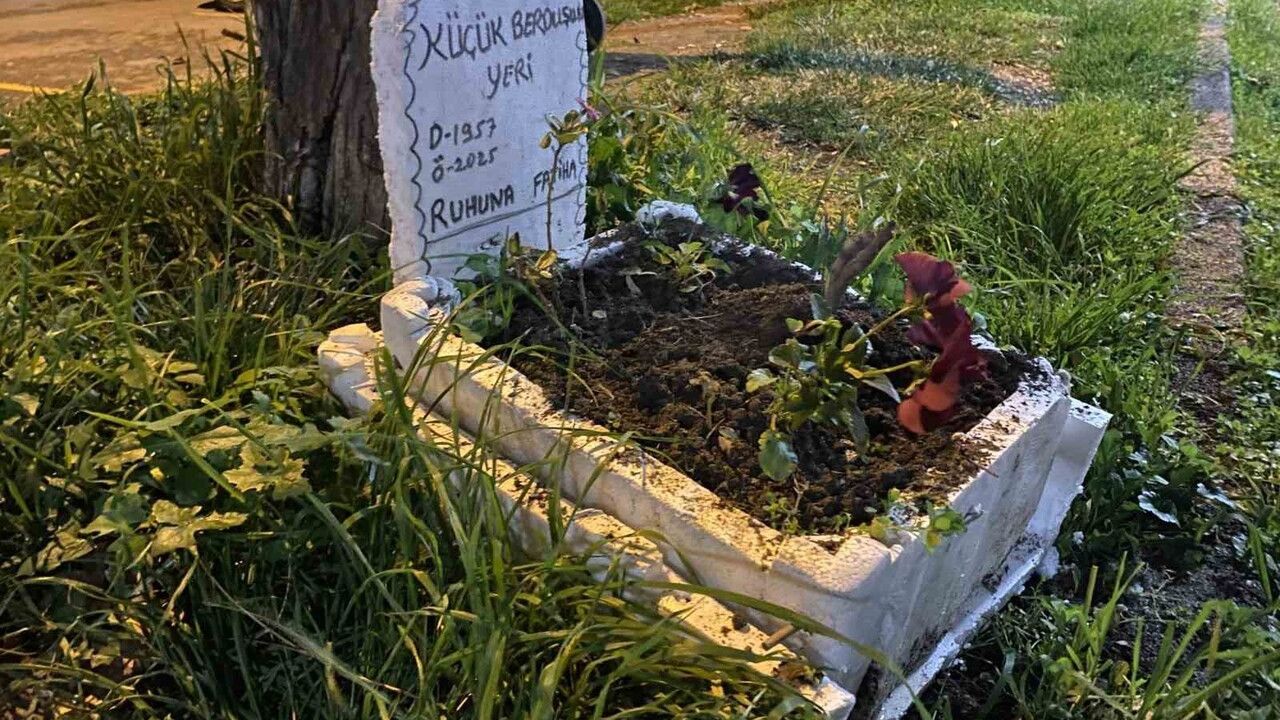 Mudanya'da taksicilerden vefa: Ölen muhabbet kuşu 'Berduş' için mini mezar