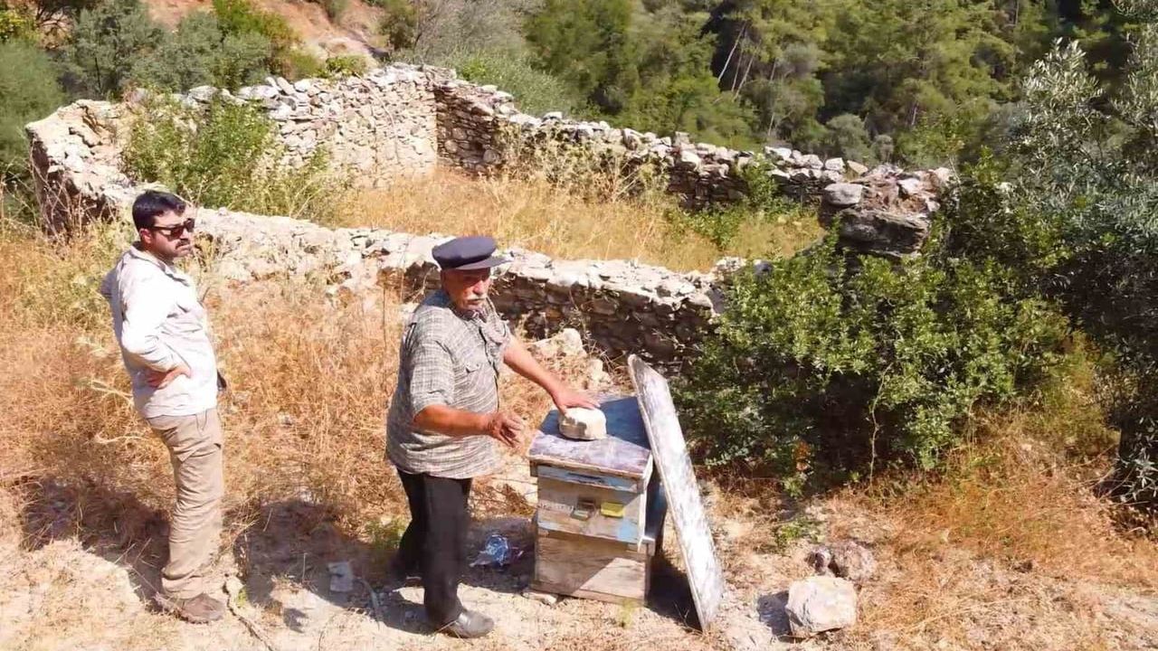 Muğla'da Kadim Arı Avluları Restorasyonla Yeniden Hayata Geçiyor