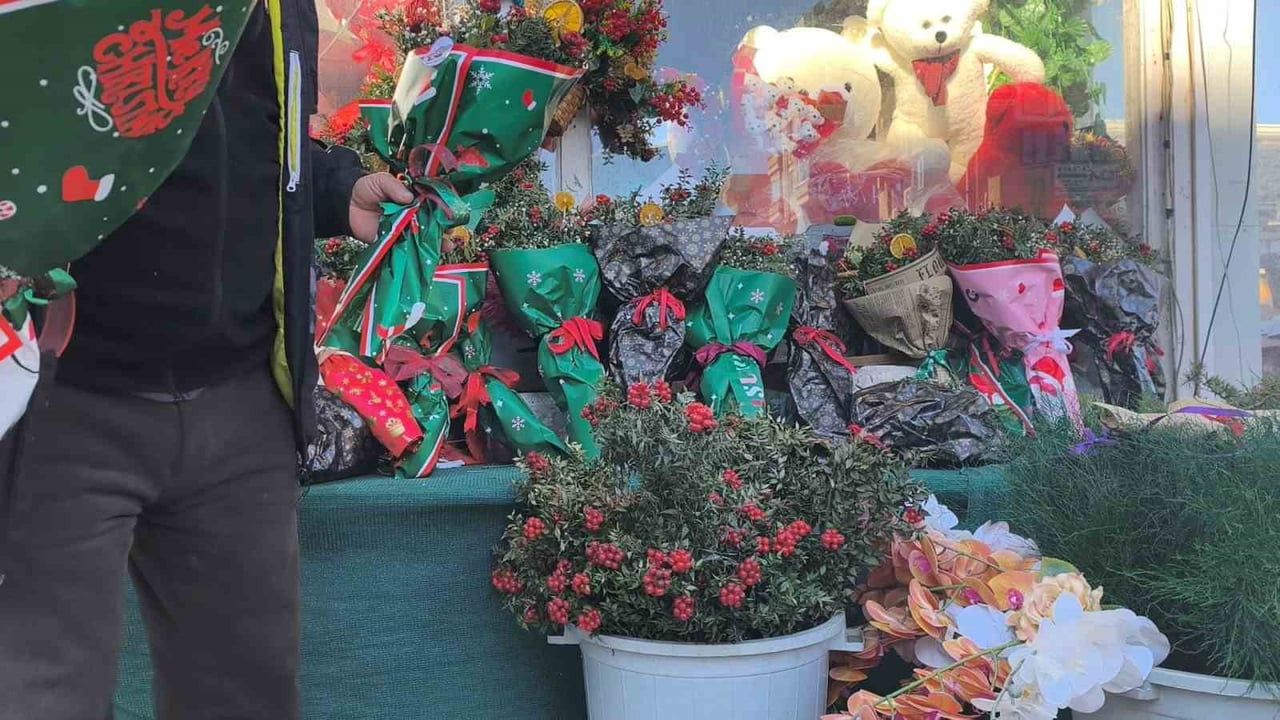 Muğla'da kokina çiçeğine yeni yıl öncesi yoğun ilgi