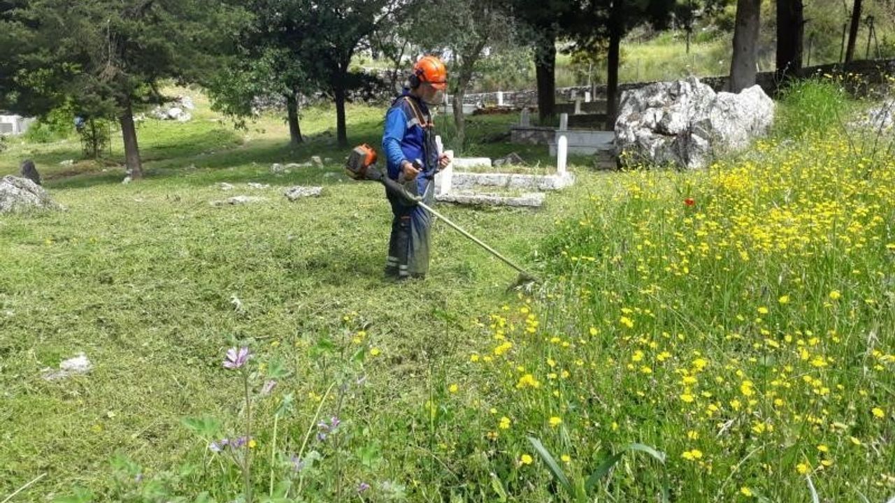 Muğla'da mezarlıklarda temizlik, bakım ve ağaç budama çalışmaları sürüyor