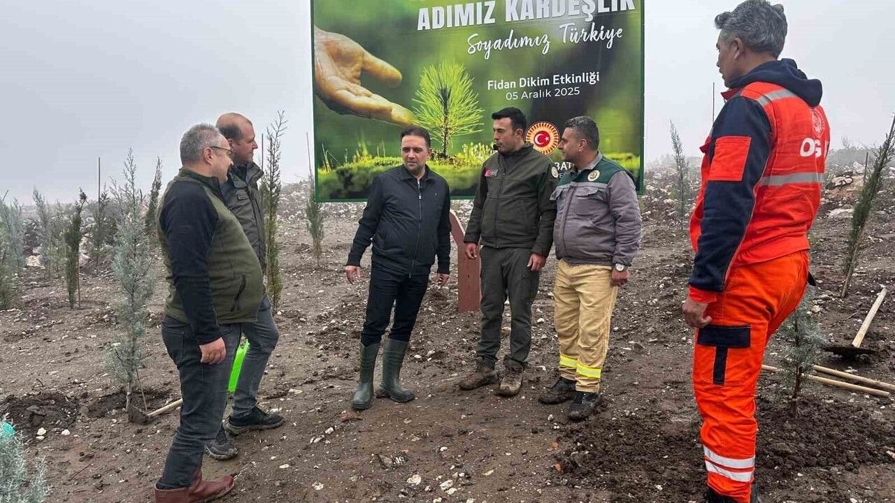 Murat Baybatur, Manisa'daki Yanan Orman Alanlarına 1.000 Fidan Dikti