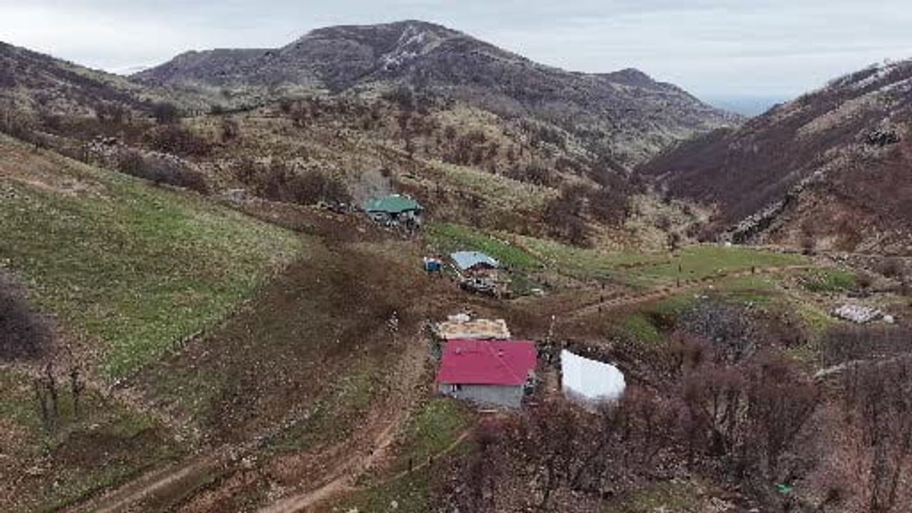 Muş Karabey Köyünde Asırlık Kavurma Geleneği Meşe Ateşinde Sürdürülüyor