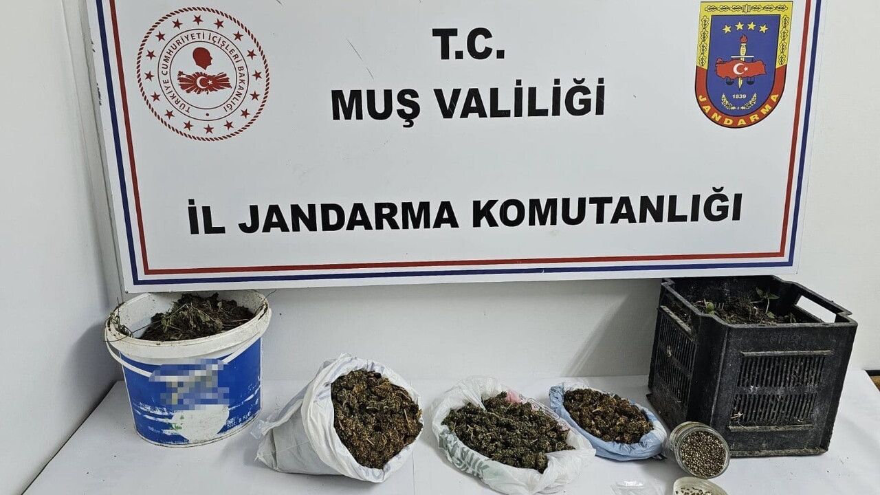 Muş’ta jandarma operasyonunda 1 kilo 350 gram kubar esrar ele geçirildi
