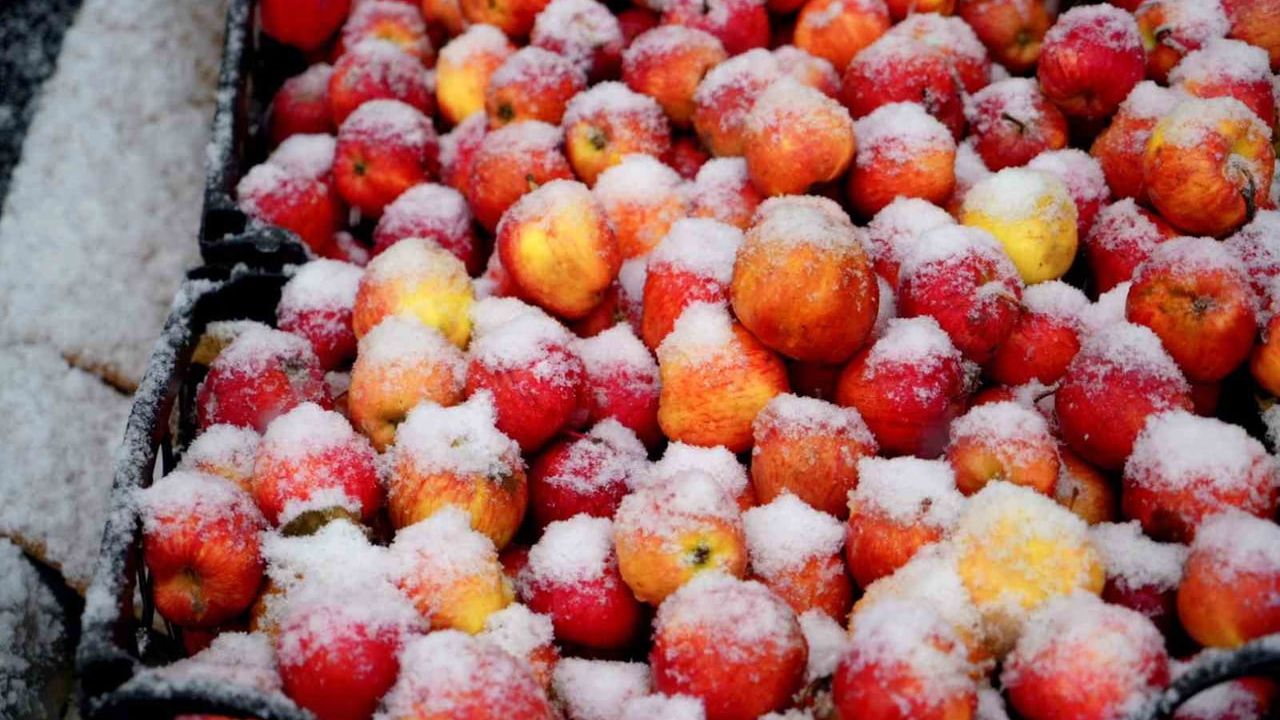 Muş'ta kar yağışı etkili oldu: Kent merkezi ve yüksek kesimlerde örtü 40 santimetreye ulaştı