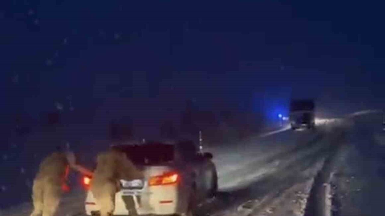 Muş’ta Kazanan Rampası'nda mahsur kalan araçlar jandarma tarafından kurtarıldı