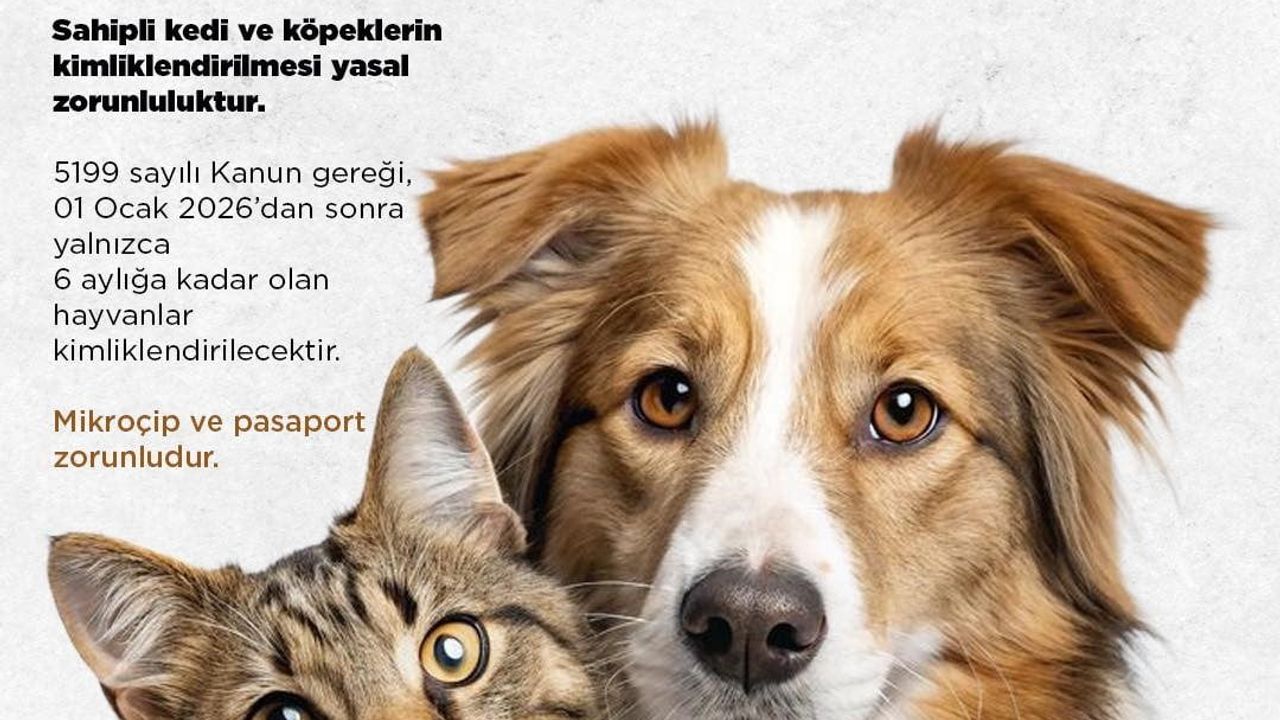 Niğde Belediyesi: Sahipli kedi ve köpeklerde kimliklendirme için son başvuru 31 Aralık 2025
