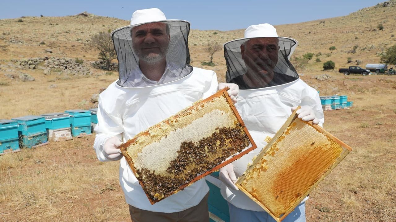 Niğde Geven Balı'na Coğrafi İşaret Tescili Verildi