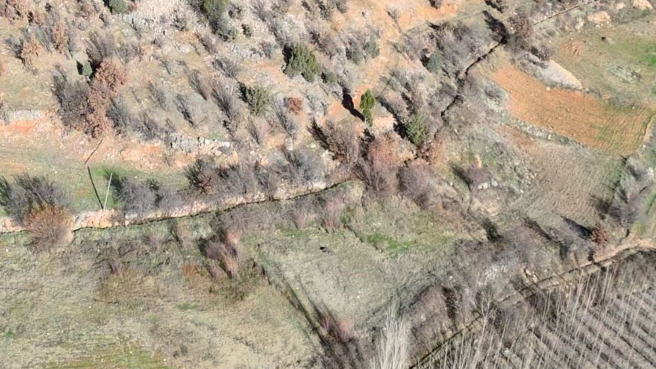 Nurhak’ta tarım alanlarını korumaya yönelik yaban domuzu sürek avı gerçekleştirildi