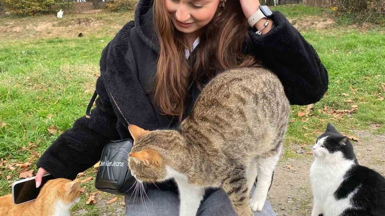 OMÜ öğrencileri ve akademisyenlerden sokak hayvanlarına 312 kg mama bağışı
