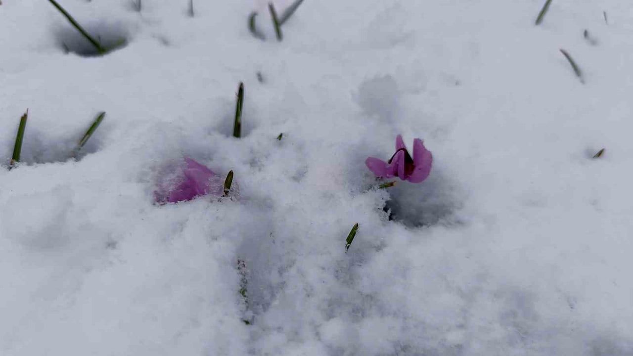 Ordu Boztepe'de Mevsimin İlk Karı: Seyir Terası Beyaza Büründü
