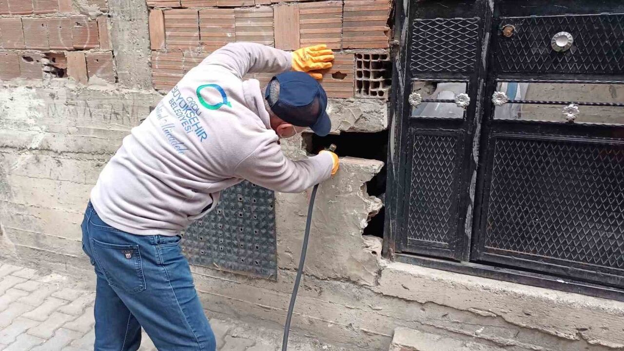 Ordu Büyükşehir Belediyesi kışlak mücadele çalışmalarına başladı