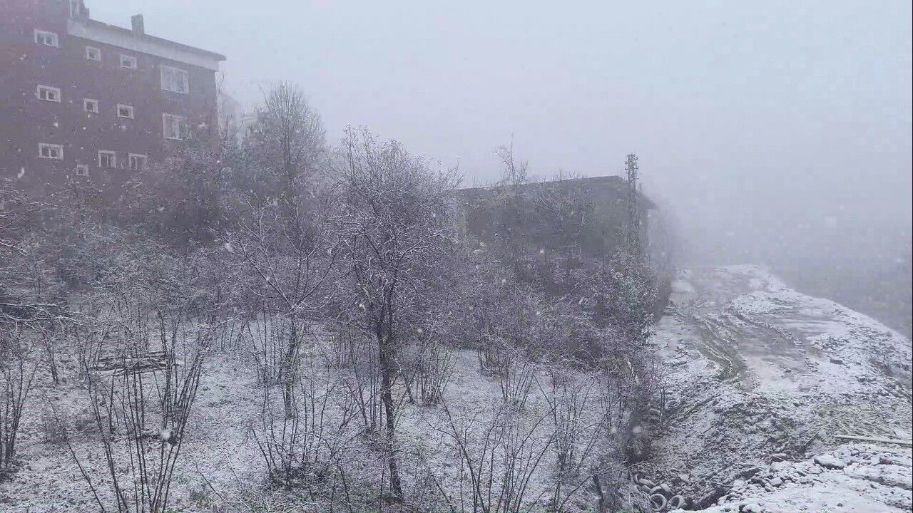 Ordu'nun yüksek kesimleri ve yaylalarında kar yağışı etkili