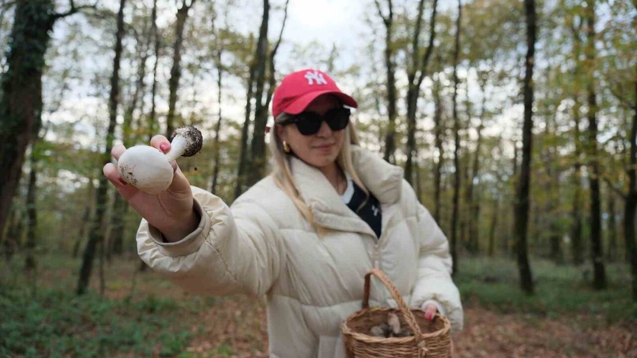 Ormanya’da doğaseverler mantar türleri ve kuş halkalama çalışmalarını uzmanlarla inceledi