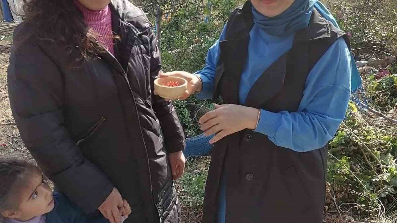 Osmaniye'de Safran Üretimi Yaygınlaşıyor: Çiftçilere Eğitim ve Destek Sürüyor