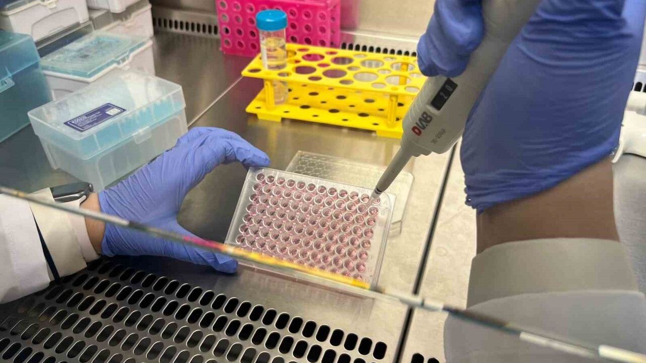 Parkinson’da bağırsak-beyin iletişimi organ‑üstü çip teknolojisiyle araştırılıyor