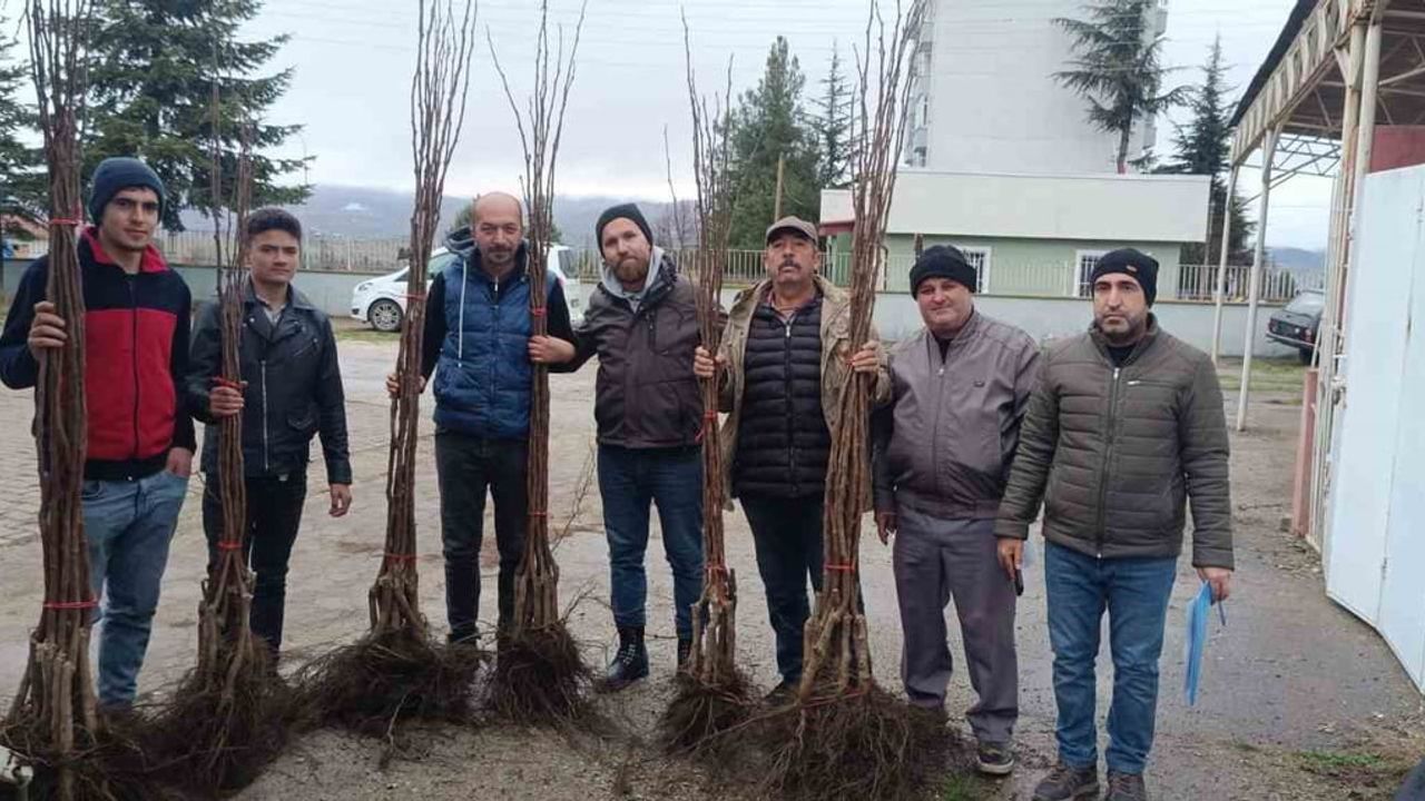 Pazaryeri'nde "Meyveciliği Geliştirme" projesiyle üreticilere 450 fidan dağıtıldı