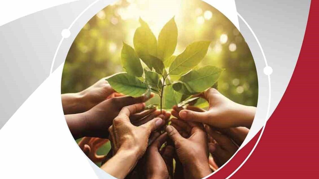 Penta Teknoloji 2. Sürdürülebilirlik Raporu: İnsan Odaklı ve Doğaya Saygı ile 2024'te somut sonuçlar