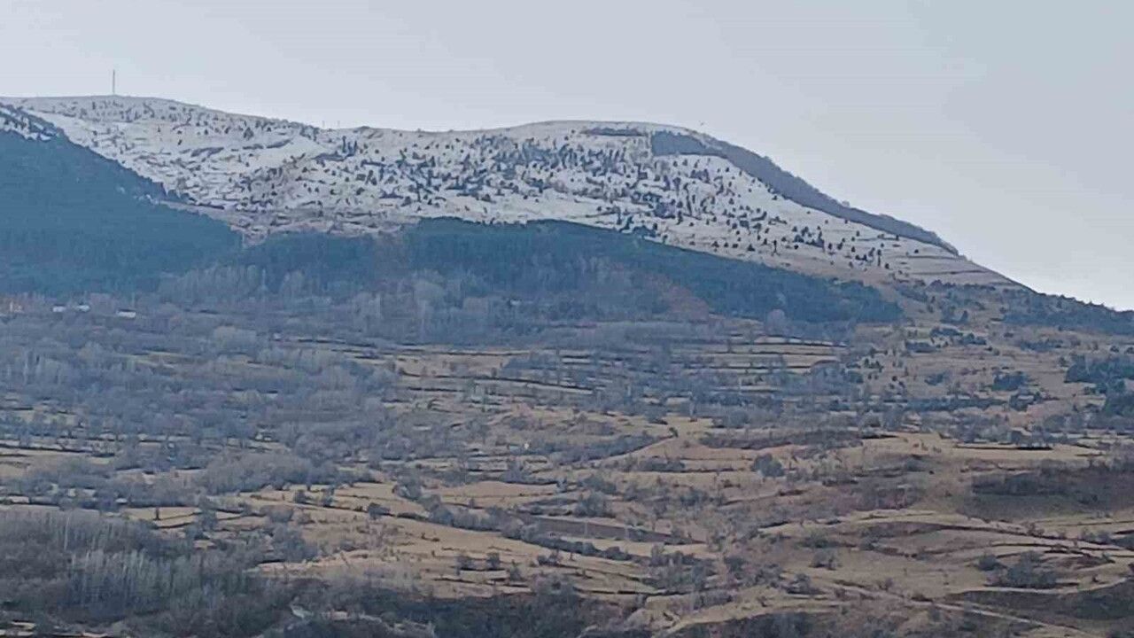 Posof'ta gece başlayan kar yağışı ilçeyi beyaza bürüdü