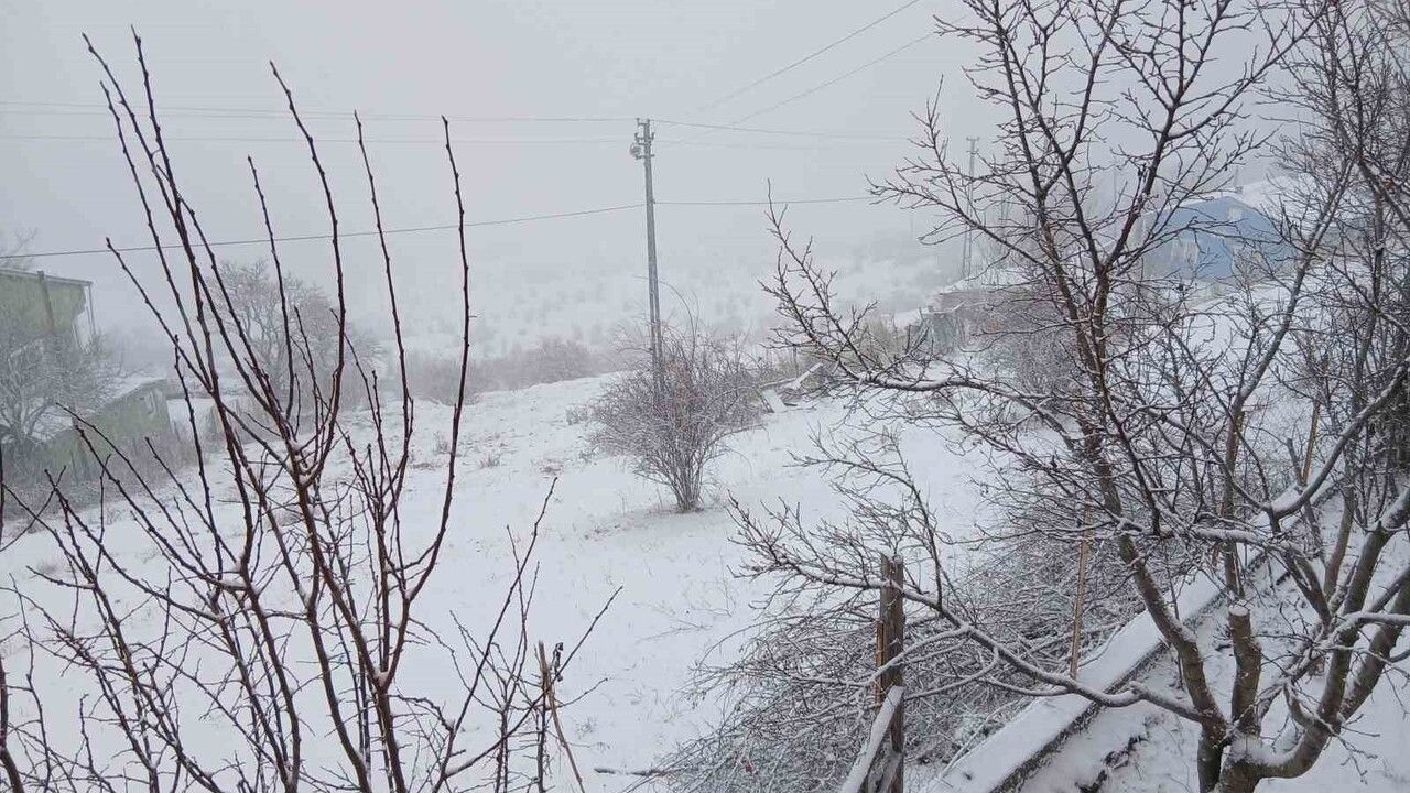 Posof’ta kar yağışı etkisini sürdürüyor, karla mücadele çalışmaları sürüyor