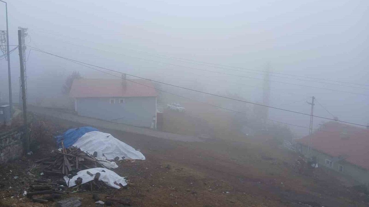 Posof'ta Yoğun Sis: Görüş 20 Metreye Düştü, Ulaşımda Aksamalar Yaşandı