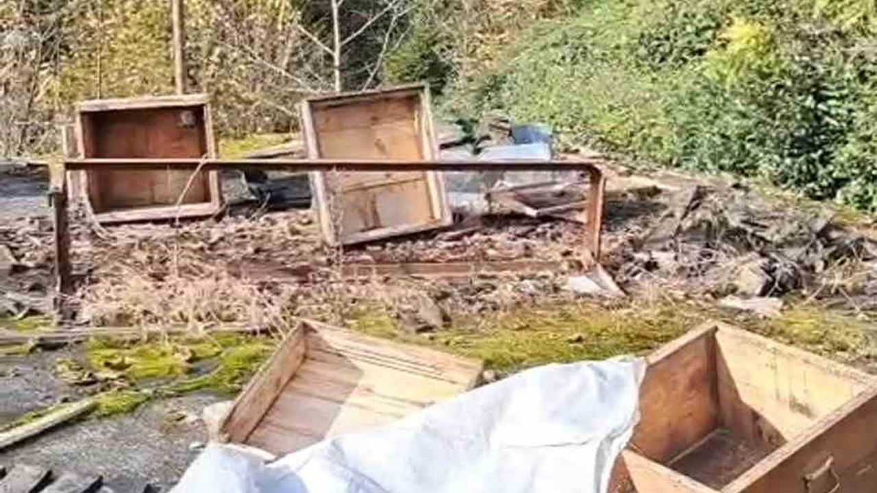 Rize'de ayının kovanlara saldırısı: Üretici Dursunali Kömürcü 'Ben şimdi ne edeyim?'