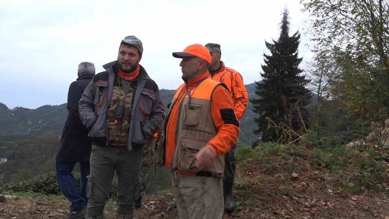 Rize'de zarar veren ayılar için özel izinle sürek avı başlatıldı