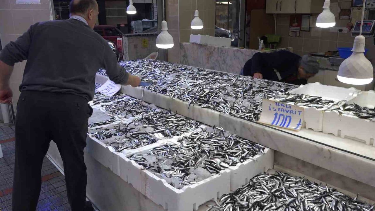 RTEÜ Araştırması: Karadeniz'de hamsinin göçü ve yaşam alanları değişiyor