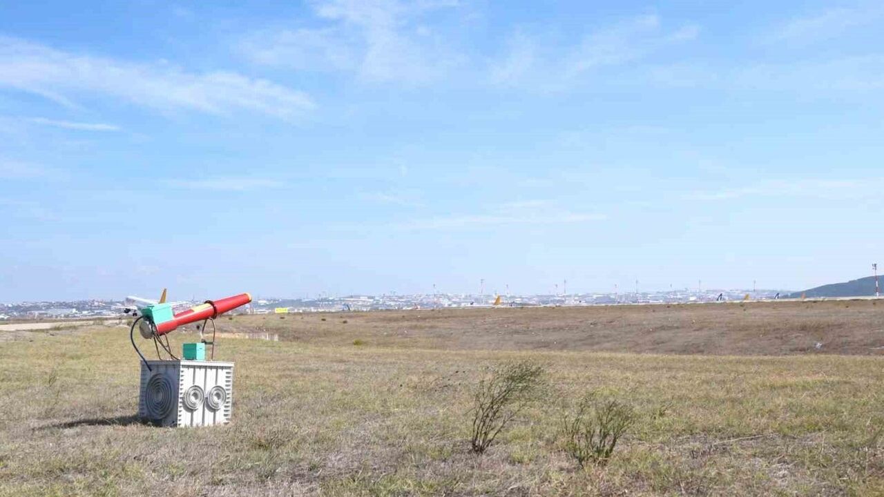 Sabiha Gökçen'de yaban hayatla mücadele 7/24: Bilimsel ve teknolojik önlemlerle uçuş emniyeti sağlanıyor