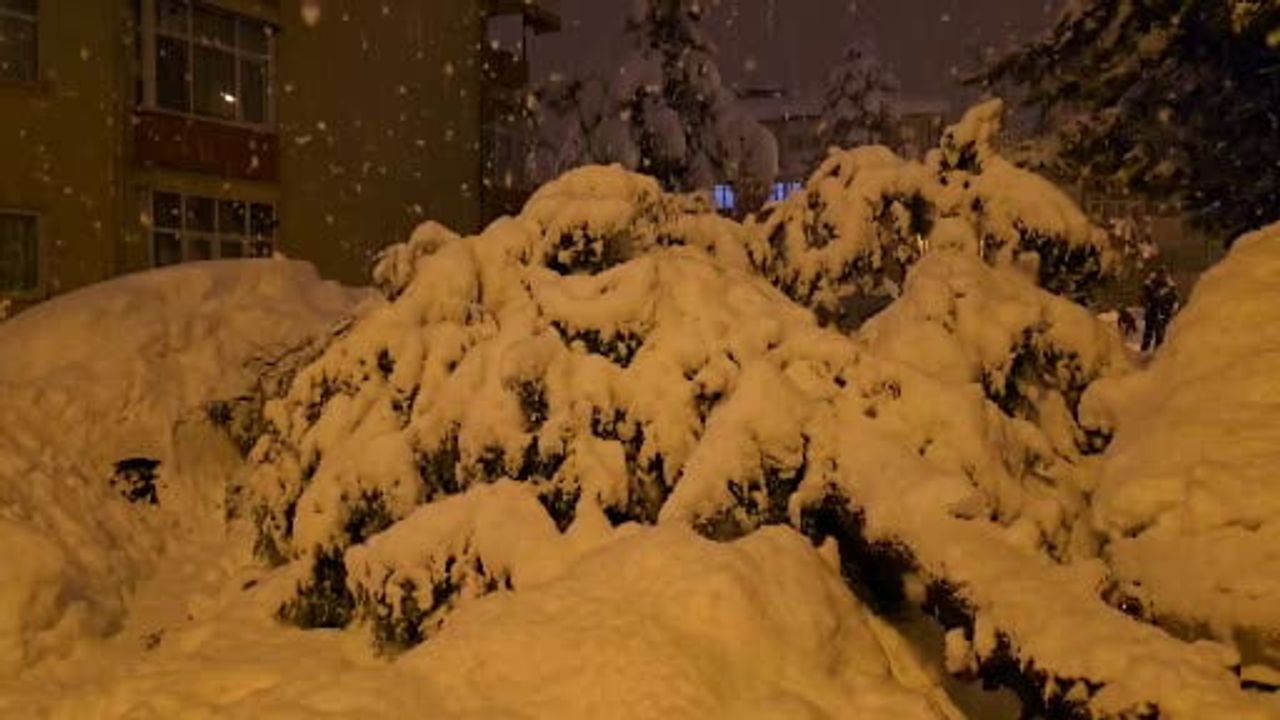 Safranbolu'da çam ağacı park halindeki iki aracın üzerine devrildi