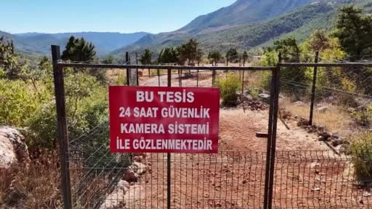 Saimbeyli Belediyesi kış öncesi sokak hayvanları için barınak kurdu