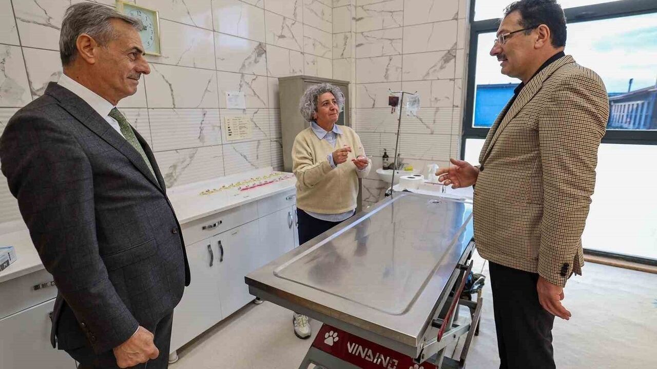 Sakarya'da 105 dönümlük Sokak Hayvanları Kampüsü: 10 bin kapasiteli Avrupa standartlarında tesis açıldı