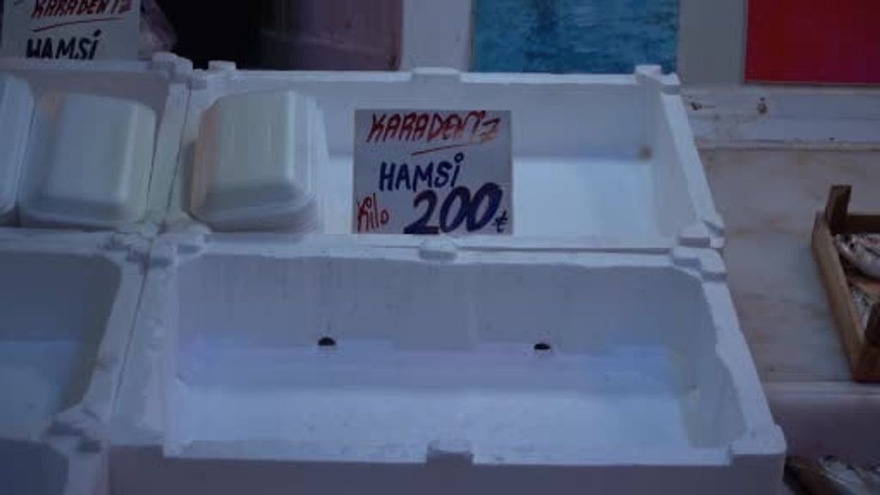 Sakarya’da hamsi azaldı, tezgahların tercihi istavrit oldu