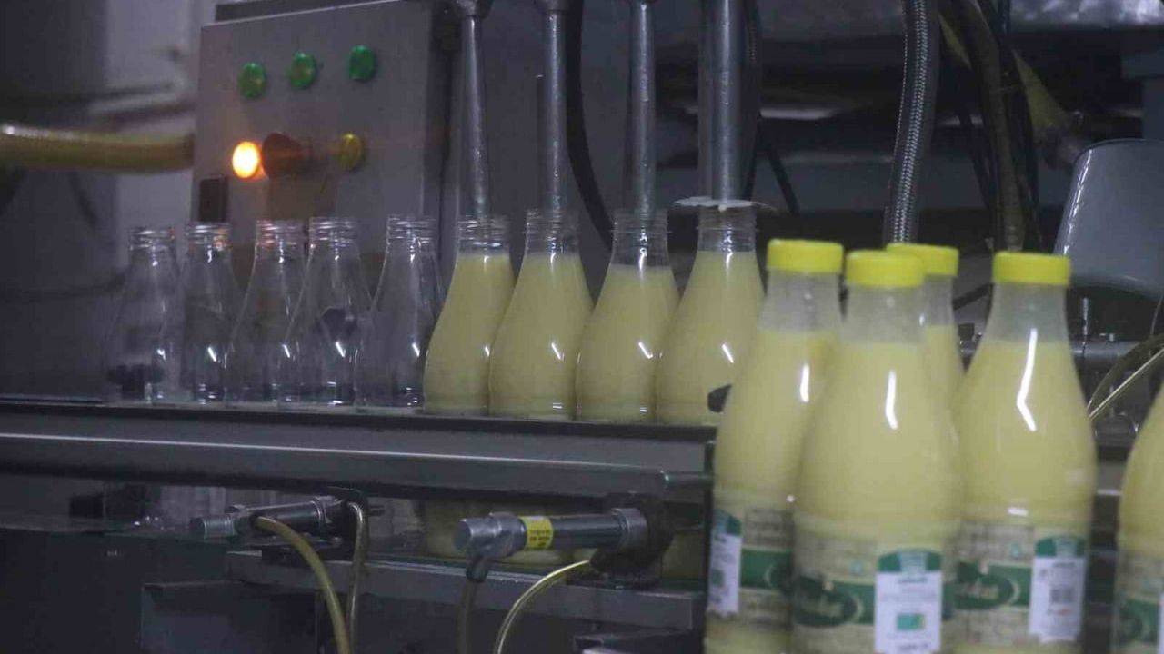 Sakarya'da kışın geleneksel içeceği boza üretimi başladı: Lezzet, sağlık ve muhafaza yöntemleri