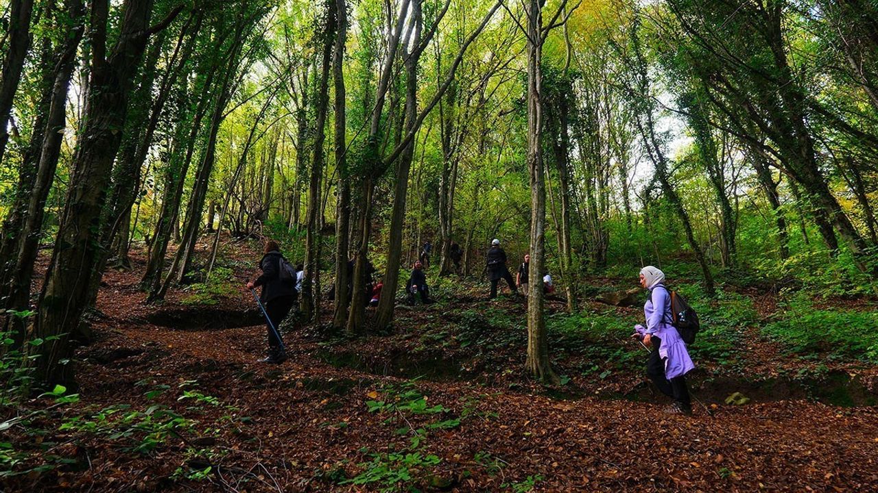 Sakarya'da Sonbahar Doğa Yürüyüşleri 9 Rota ve 1.140 Katılımcıyla Gerçekleşti
