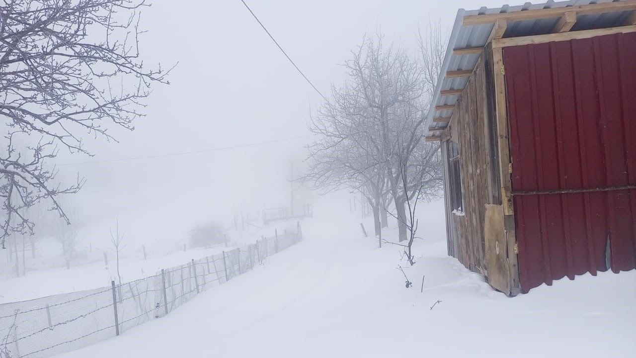 Sakarya'da yüksek kesimlerde 20 cm'e ulaşan kar, Hendek merkezinde lapa lapa başladı
