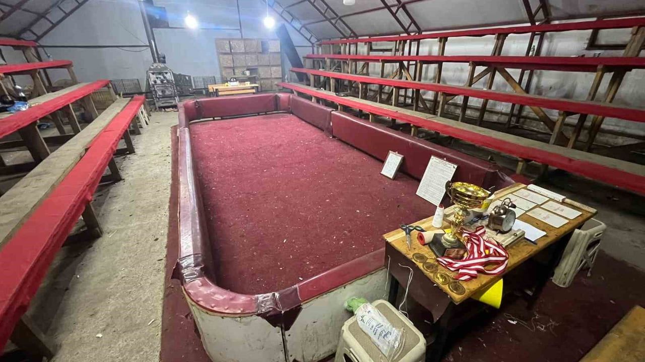 Sakarya'nın Kocaali ilçesinde horoz dövüşü operasyonu: 34 kişiye ceza, 25 horoz koruma altına alındı