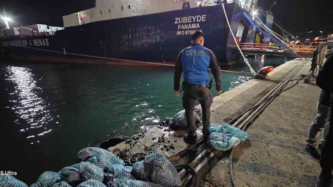Samsun'da 300 kilogram kaçak midye ele geçirildi: İki kişiye 75 bin 540 TL ceza