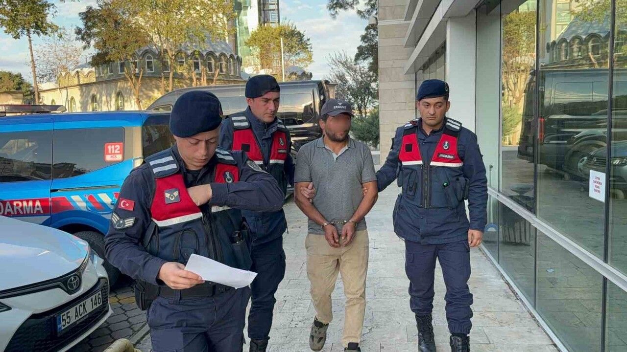 Samsun'da ağaç kesimi sırasında yaşanan kaza: Komşusunun ölümüne neden olan kişi tutuklandı