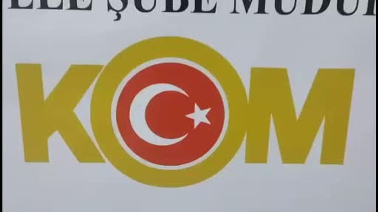 Samsun'da ev aramalarında 13 tescile tabi kültür varlığı tabanca ele geçirildi