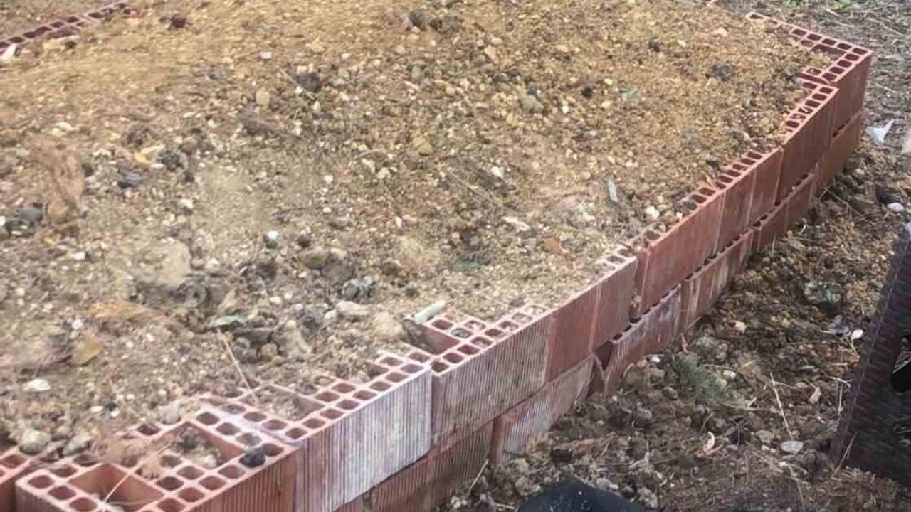 Samsun'da sahibinin mezarından ayrılmayan köpek mahalleliyi duygulandırdı