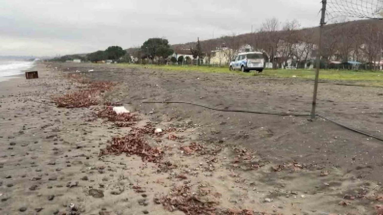 Samsun İncesu Sahilinde Bulunan Sandık Polis İncelemesine Alındı