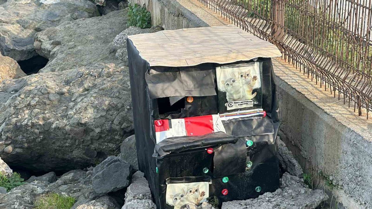 Samsun sahilinde kedi yuvaları soğuk havalarda sığınak sağlıyor