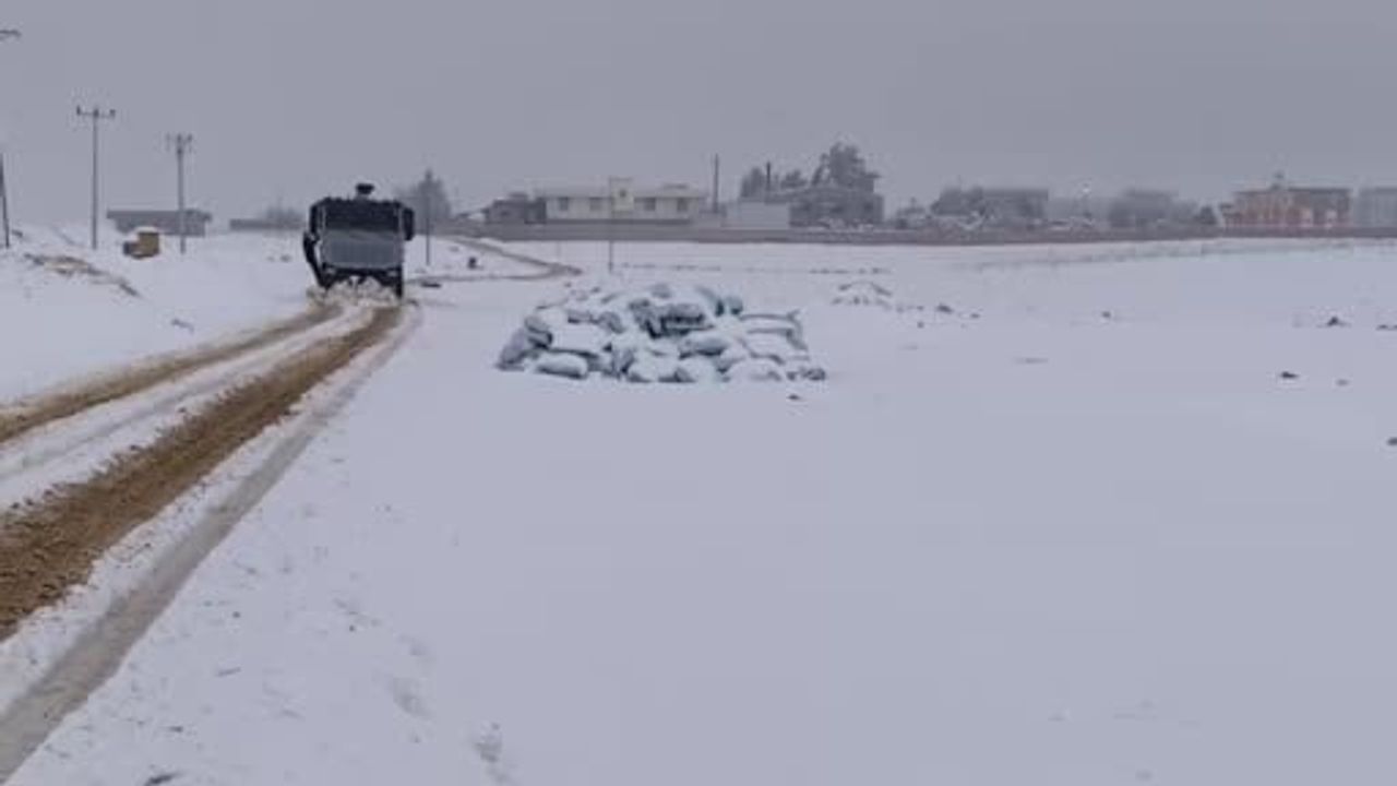 Şanlıurfa Ceylanpınar’da karla kapanan yol TOMA ile açıldı