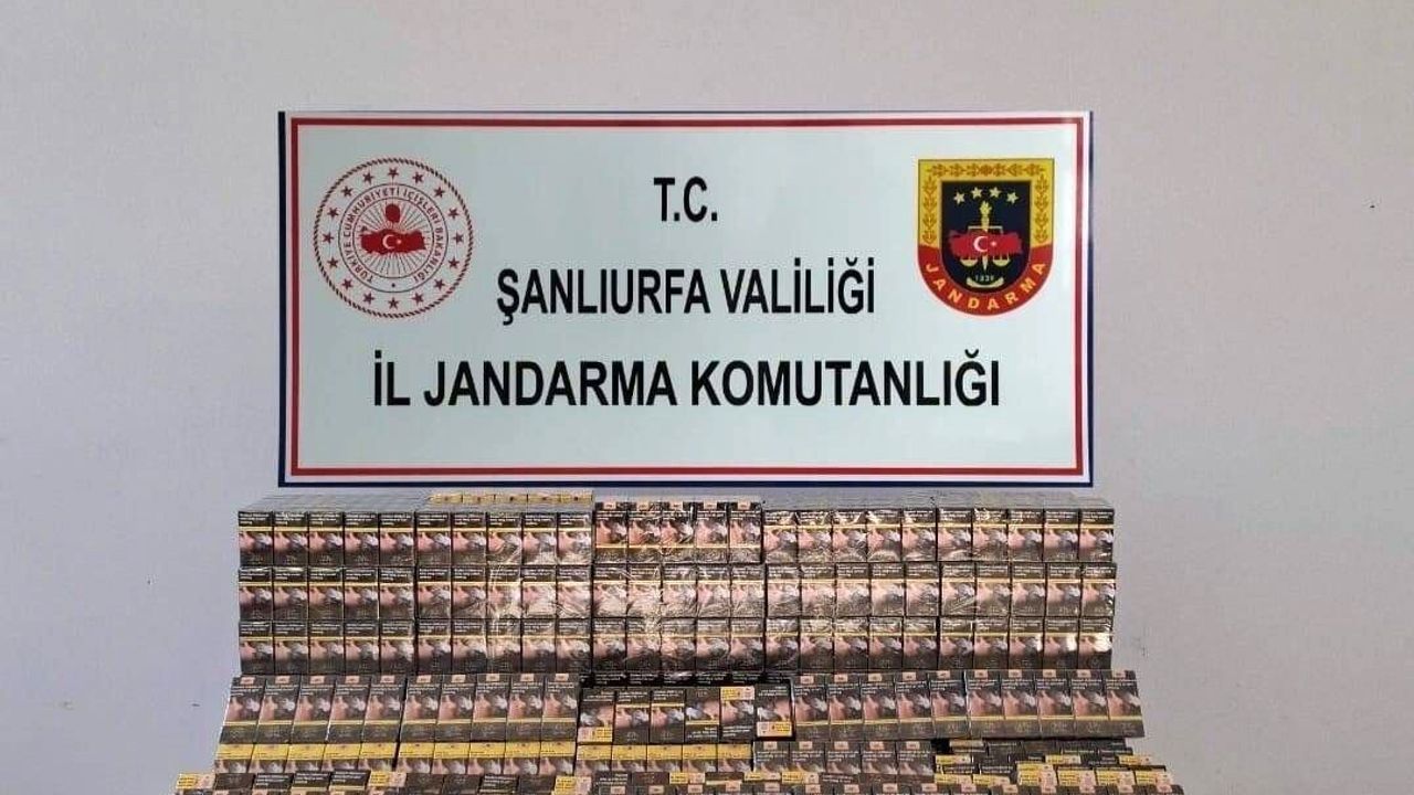 Şanlıurfa'da 5 bin paket gümrük kaçağı sigara ve 23 kg kaçak çay ele geçirildi