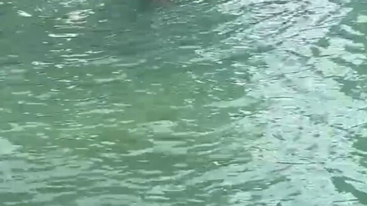 Şanlıurfa’da ‘İşten atıldım’ diyerek Rızvaniye Camisi’nden Balıklıgöl’e atlayan kişi kurtarıldı