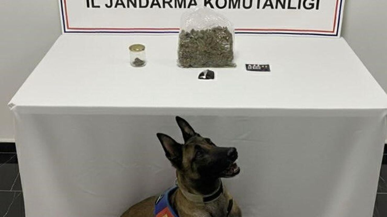 Şanlıurfa’da Jandarma Operasyonu: Haliliye’de 1 Gözaltı, Uyuşturucu Ele Geçirildi